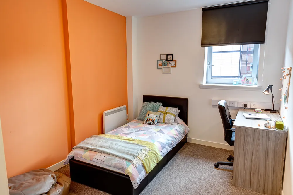 Central House photo 11