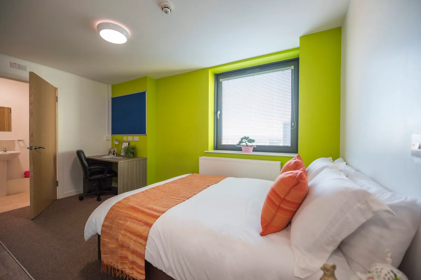 Rede House photo 15