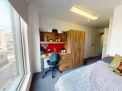 CB1 photo 22